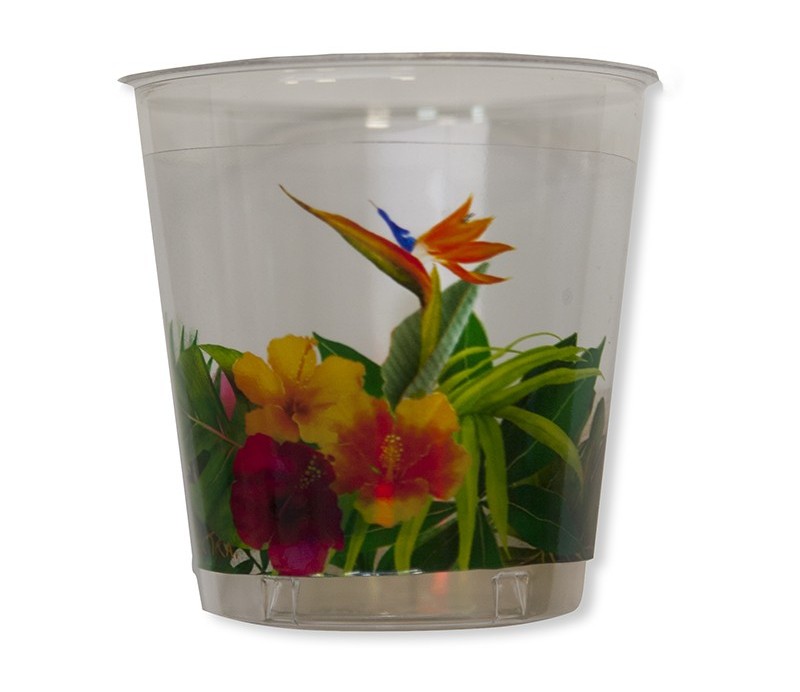 Bicchieri Kristall Collezione Tropicale. 250 cc. 8 Pz